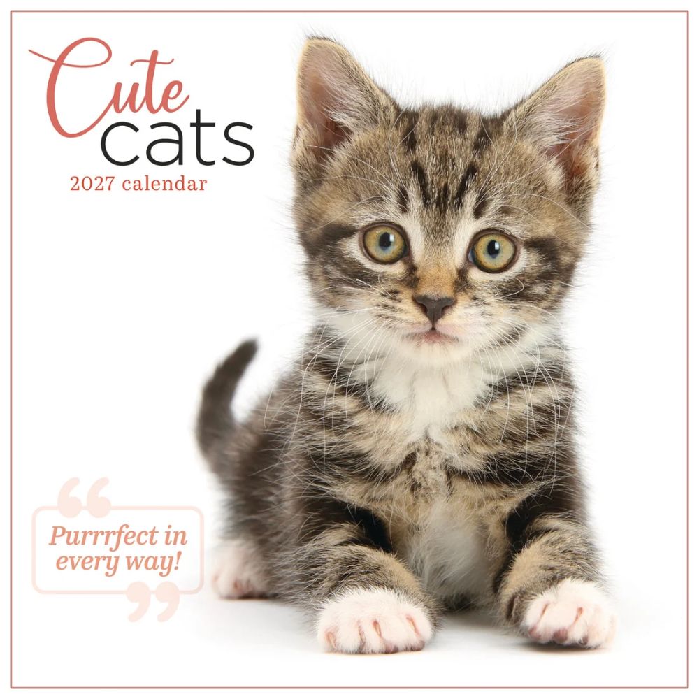Otter House Cute Cats Wall Calendar 2027