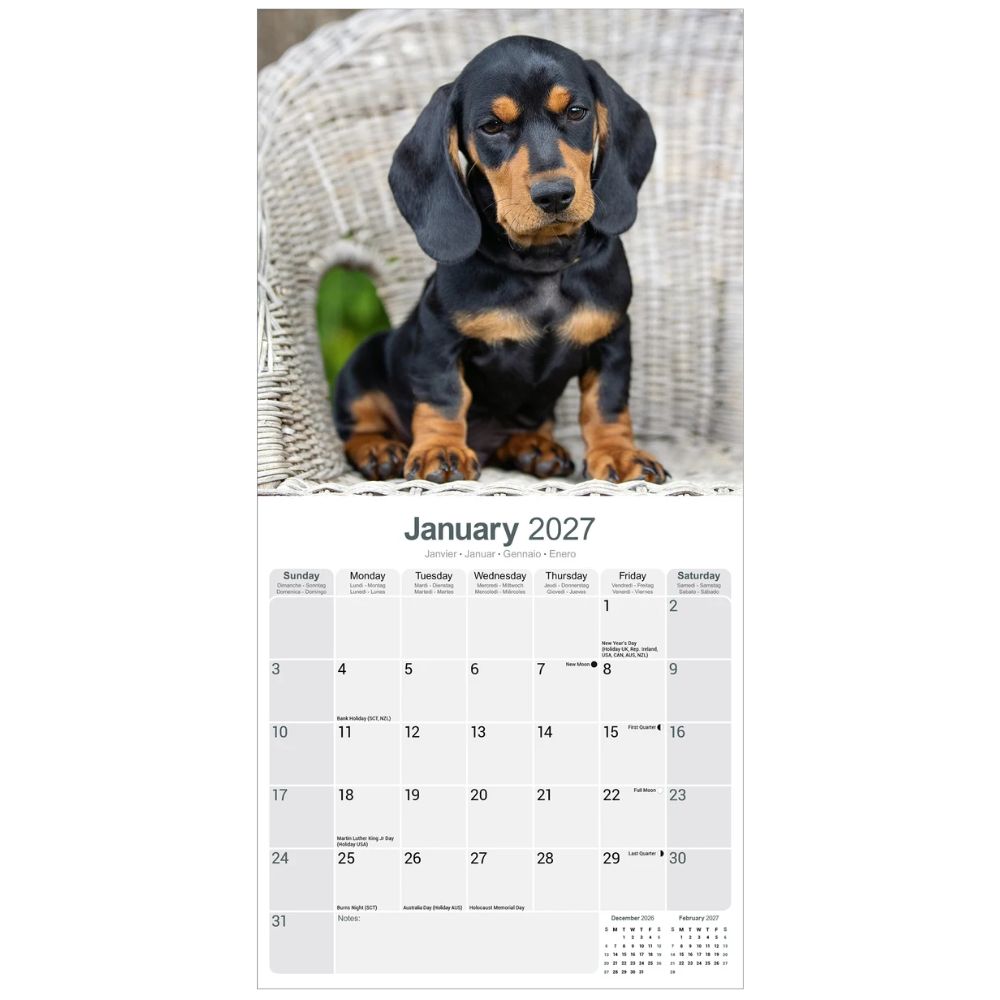 Otter House Dachshund Wall Calendar 2027