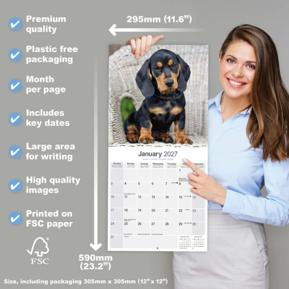 Otter House Dachshund Wall Calendar 2027
