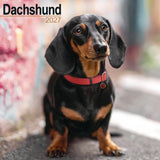 Otter House Dachshund Wall Calendar 2027