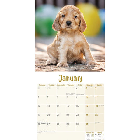 Otter House English Cocker Spaniel Puppies Mini Calendar 2026