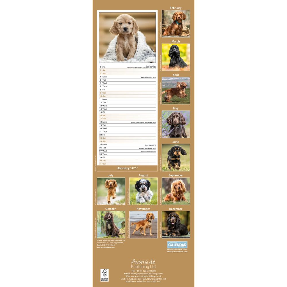 Otter House English Cocker Spaniel Slim Calendar 2027