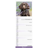 Otter House English Cocker Spaniel Slim Calendar 2027