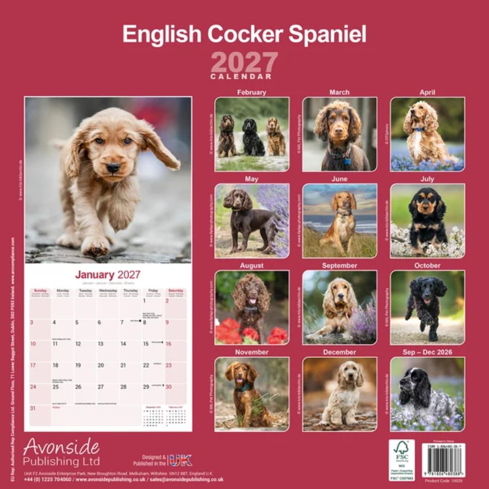 Otter House English Cocker Spaniel Wall Calendar 2027