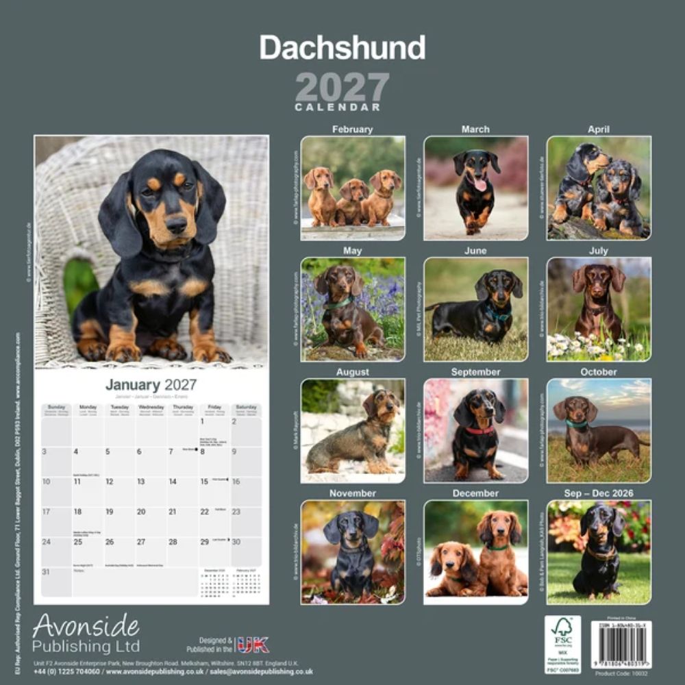 Otter House Dachshund Wall Calendar 2027