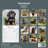 Otter House Dachshund Wall Calendar 2027