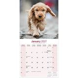 Otter House English Cocker Spaniel Wall Calendar 2027