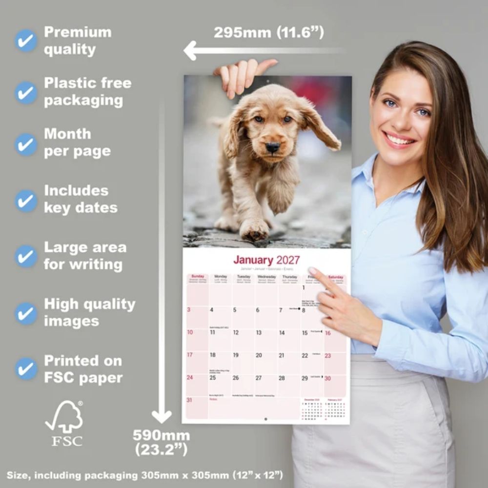 Otter House English Cocker Spaniel Wall Calendar 2027