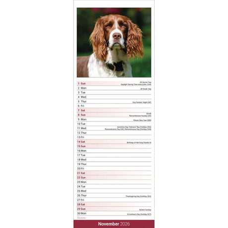 Otter House English Springer Spaniel Slim Calendar 2026