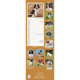 Otter House English Springer Spaniel Slim Calendar 2027