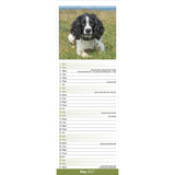 Otter House English Springer Spaniel Slim Calendar 2027