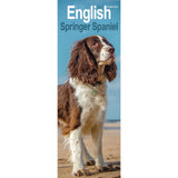 Otter House English Springer Spaniel Slim Calendar 2027