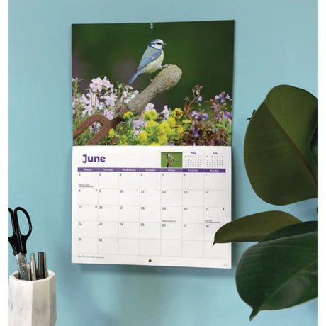Otter House Garden Birds A4 calendar 2026