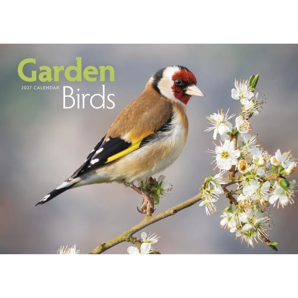 Otter House Garden Birds A4 Calendar 2027