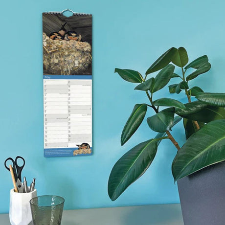 Otter House Garden Birds by Pollyanna Pickering Slim Calendar 2026