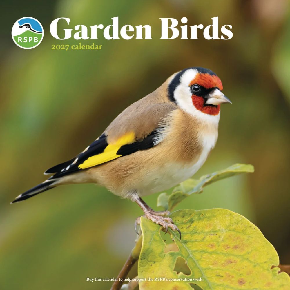 Otter House Garden Birds RSPB Wall Calendar 2027
