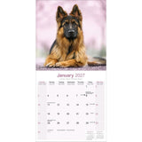 Otter House German Shepherds Wall Calendar 2027