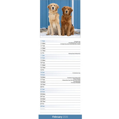 Otter House Golden Retriever Slim Calendar 2026