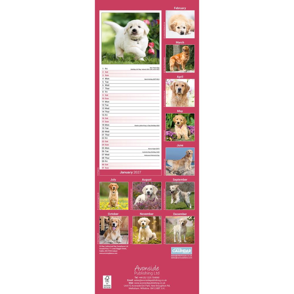 Otter House Golden Retriever Slim Calendar 2027