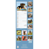 Otter House German Shepherd Slim Calendar 2027