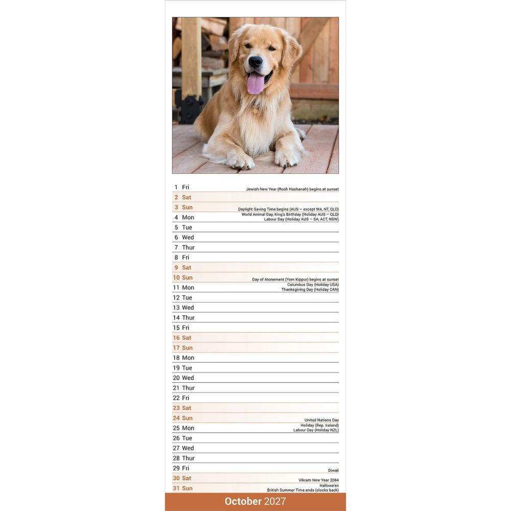 Otter House Golden Retriever Slim Calendar 2027