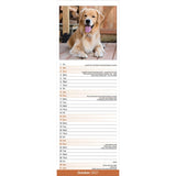 Otter House Golden Retriever Slim Calendar 2027