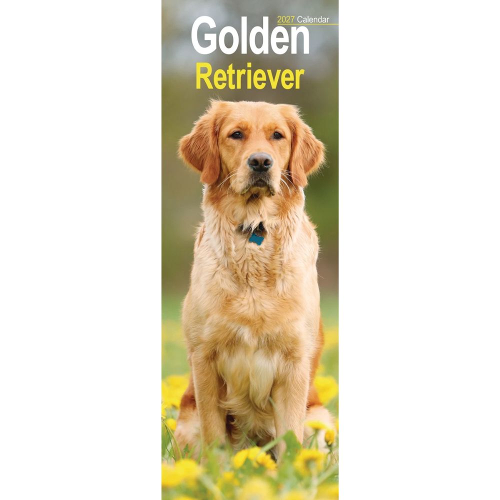 Otter House Golden Retriever Slim Calendar 2027