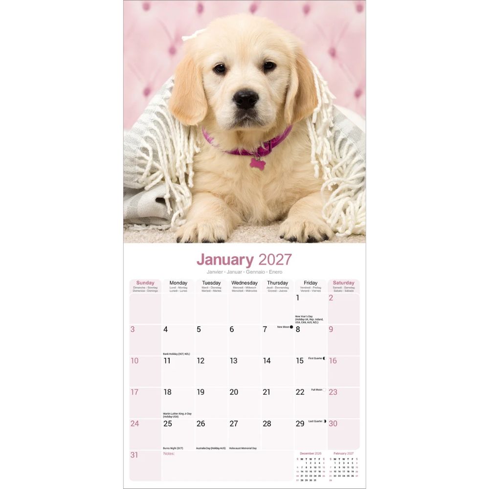 Otter House Golden Retriever Wall Calendar 2027