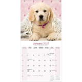 Otter House Golden Retriever Wall Calendar 2027