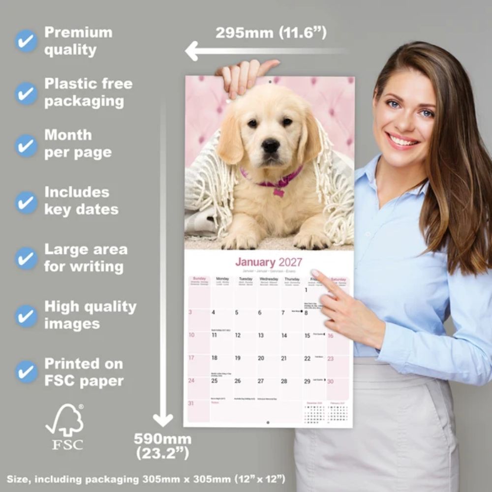 Otter House Golden Retriever Wall Calendar 2027