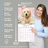 Otter House Golden Retriever Wall Calendar 2027