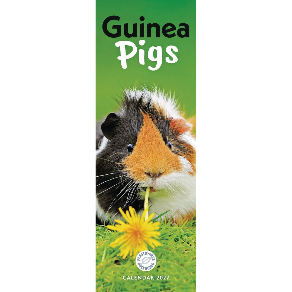 Otter House Guinea Pigs Slim Calendar 2027