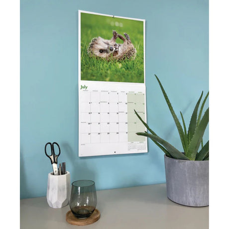Otter House Hedgehogs Wall Calendar 2026