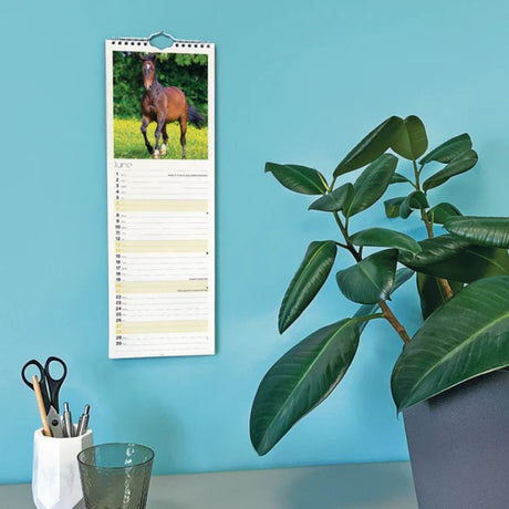 Otter House Horses Slim Calendar 2026
