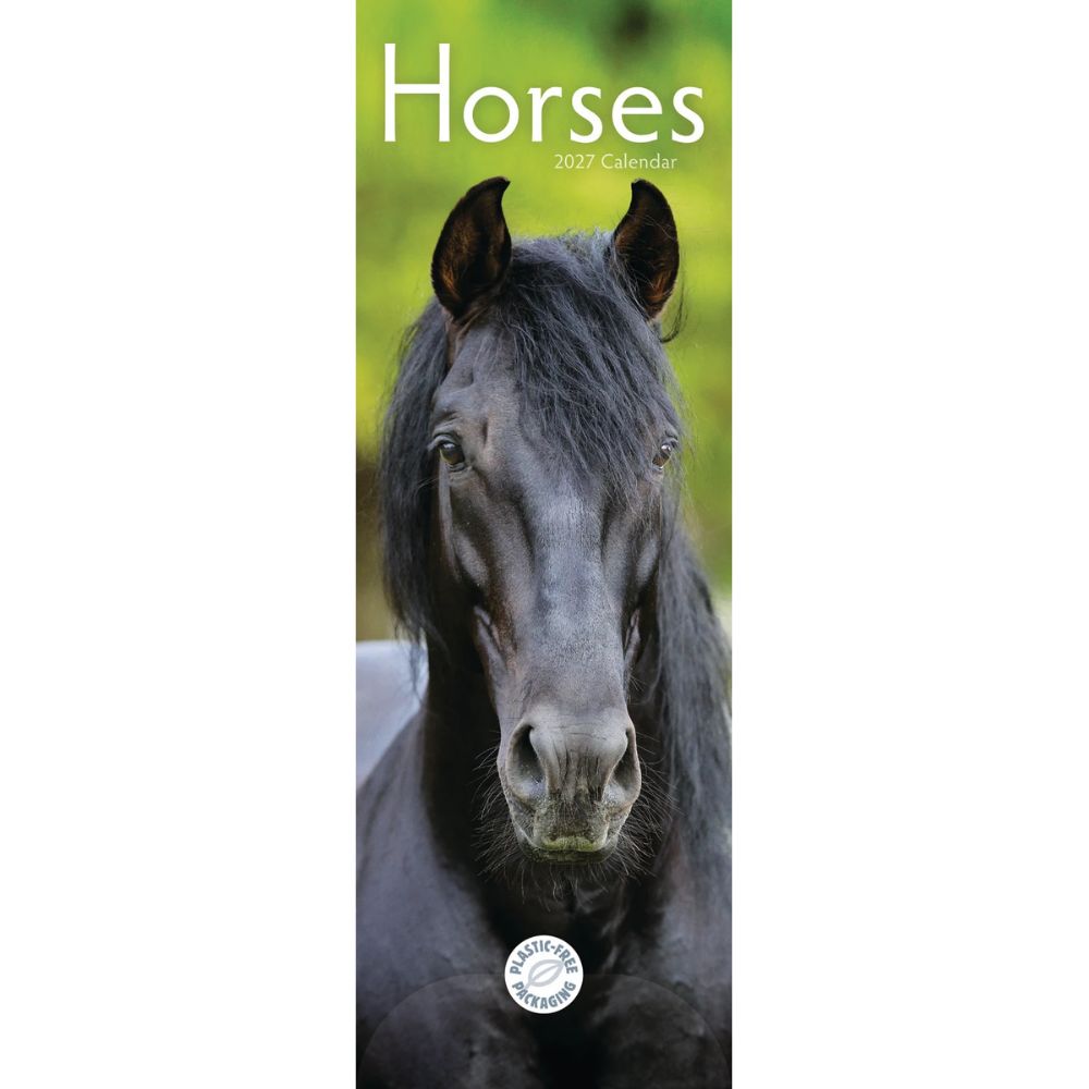 Otter House Horses Slim Calendar 2027
