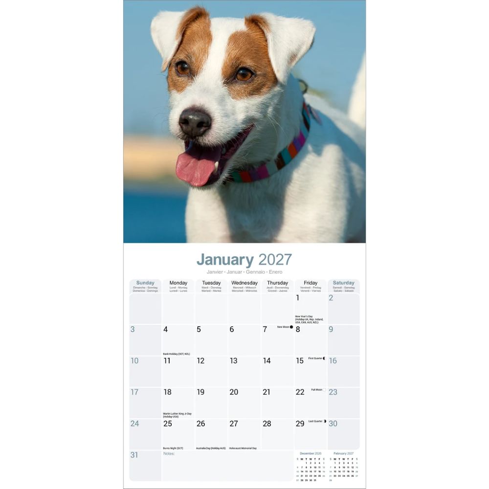 Otter House Jack Russell Wall Calendar 2027