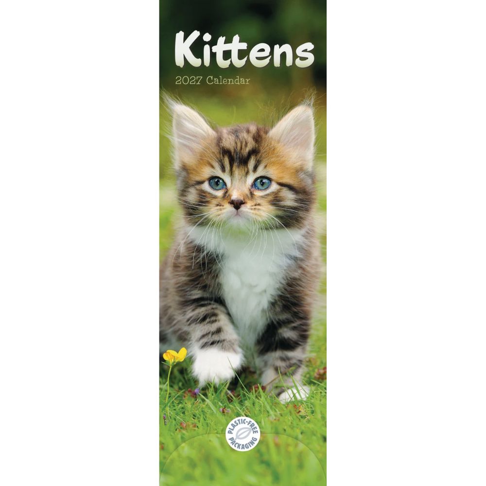 Otter House Kittens Slim Calendar 2027
