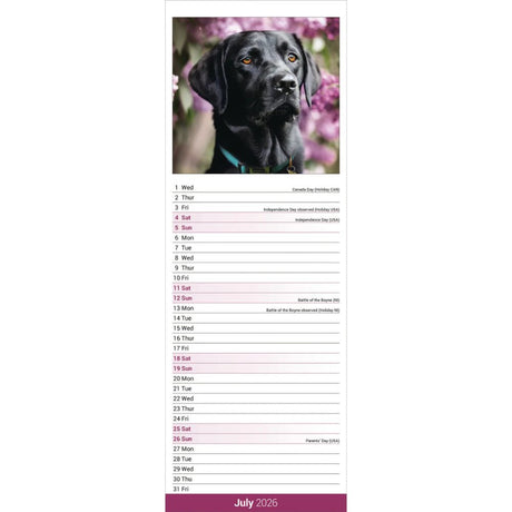 Otter House Labrador Retriever Black Slim Calendar 2026