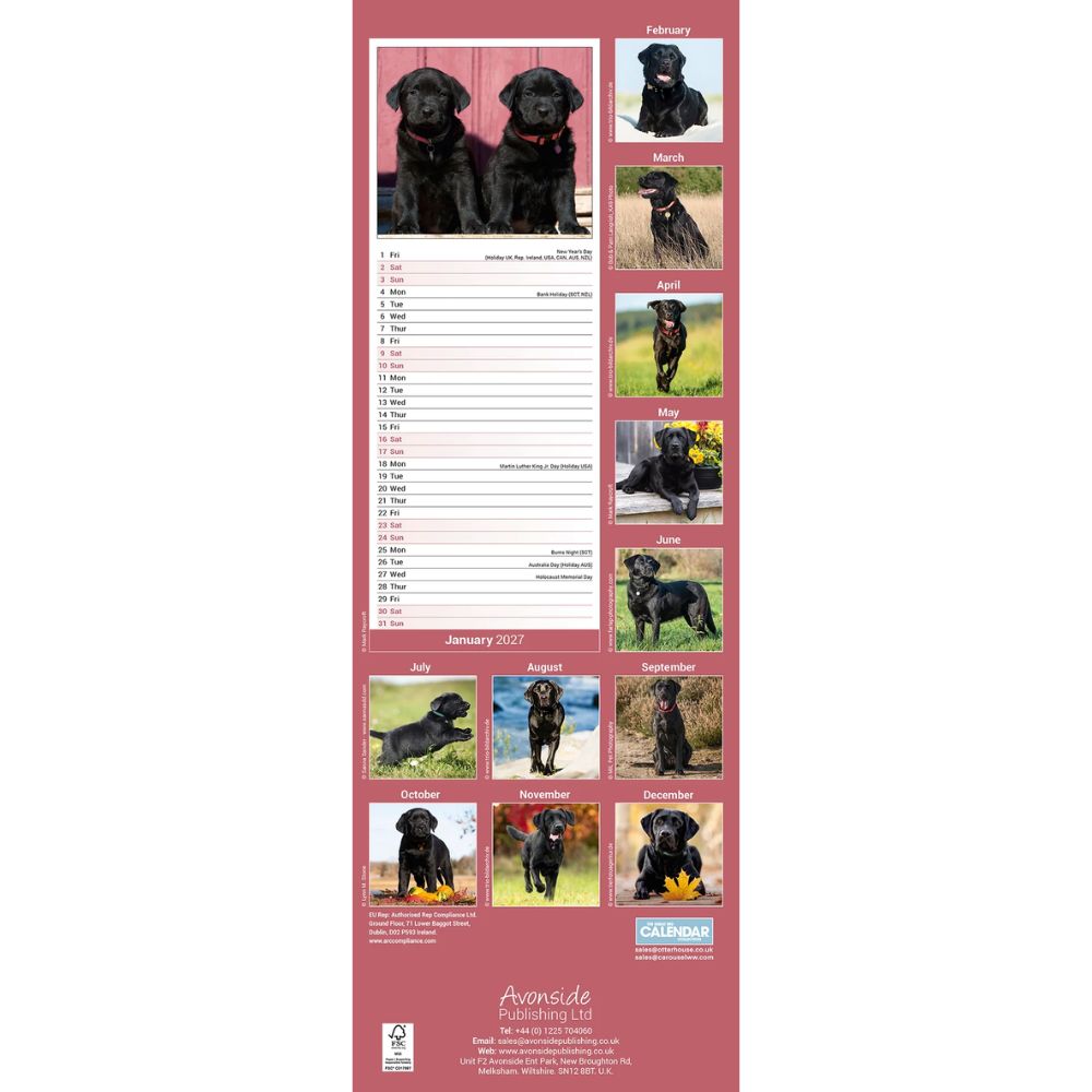 Otter House Labrador Retriever Black Slim Calendar 2027