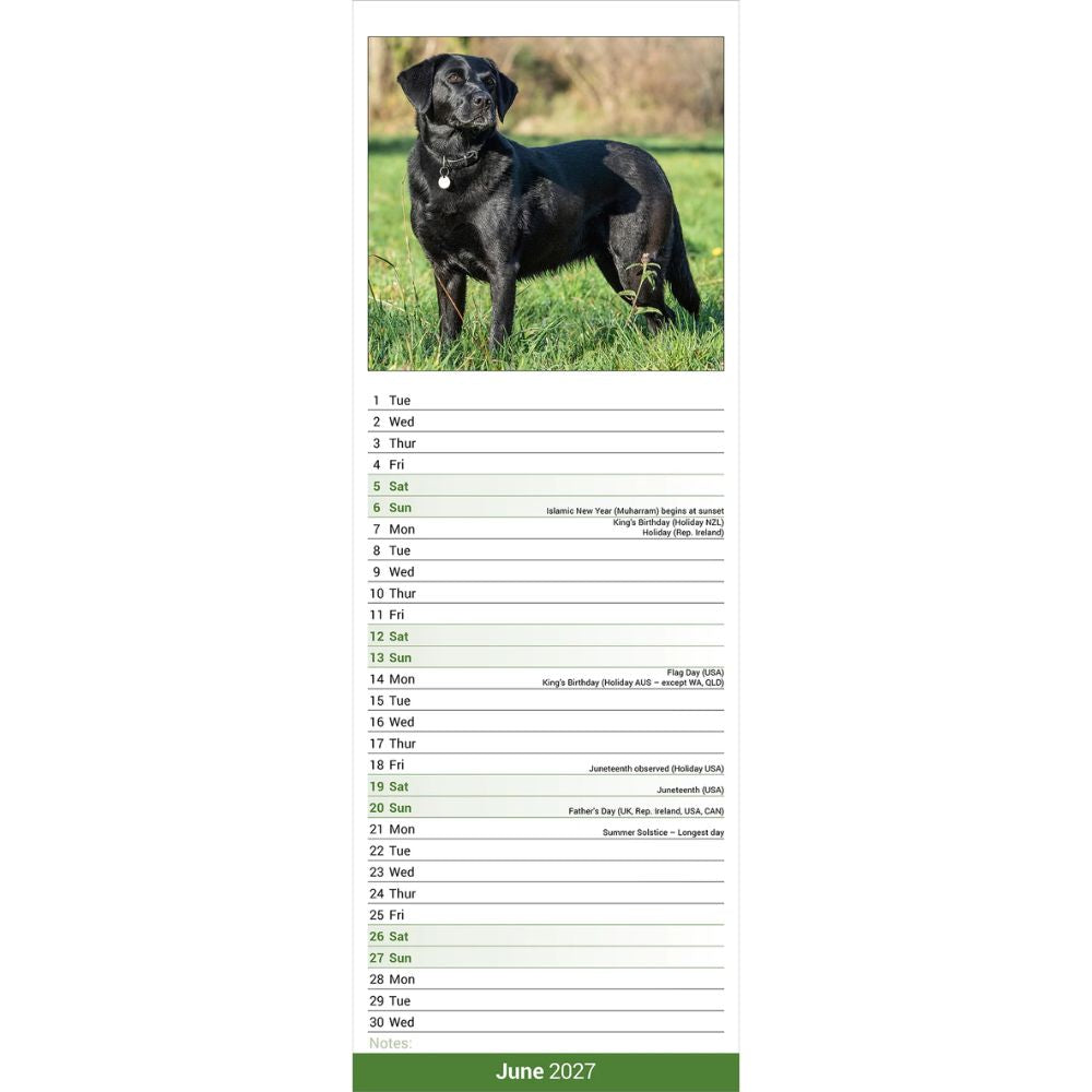 Otter House Labrador Retriever Black Slim Calendar 2027