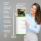 Otter House Labrador Retriever Black Slim Calendar 2027