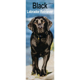 Otter House Labrador Retriever Black Slim Calendar 2027