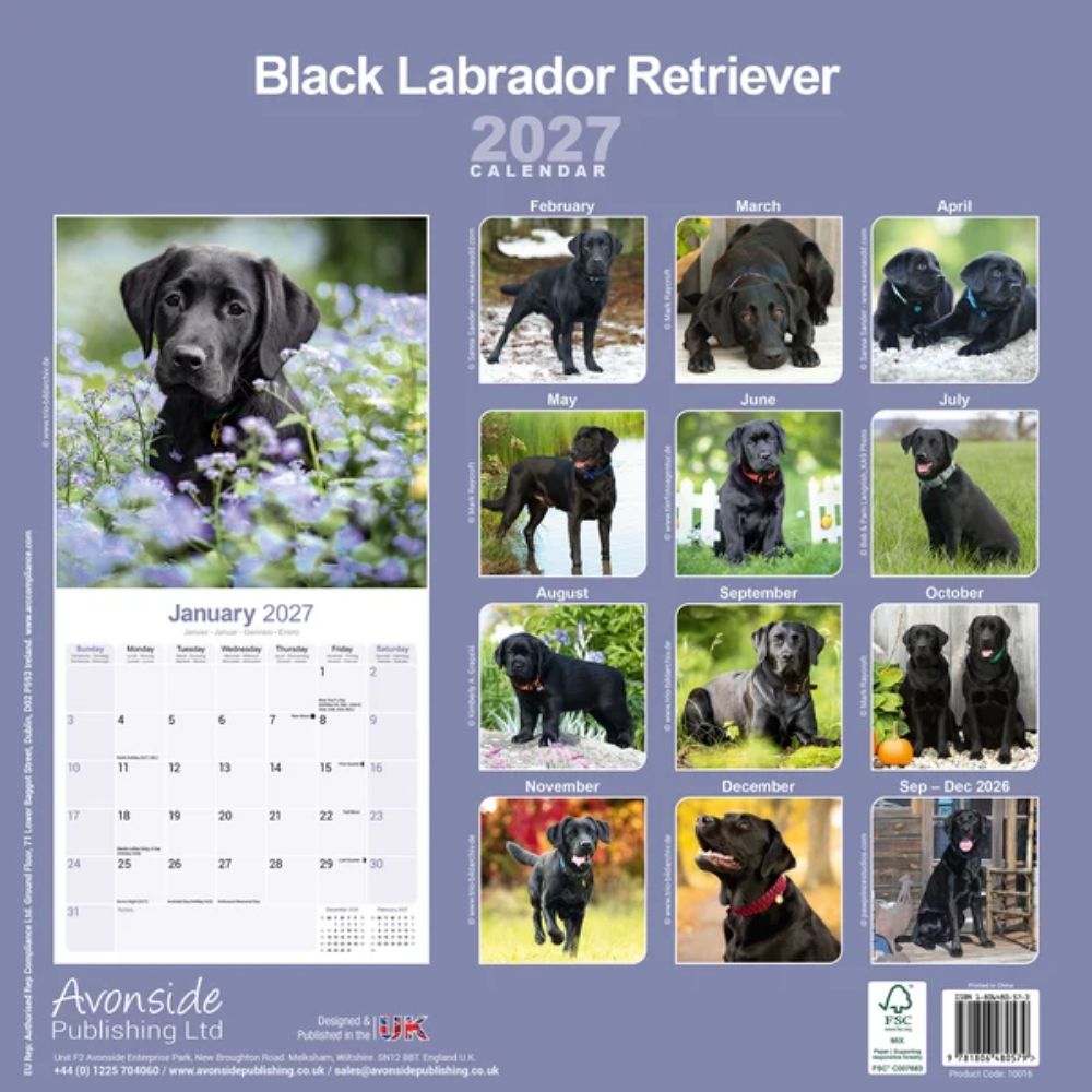 Otter House Labrador Retriever Black Wall Calendar 2027