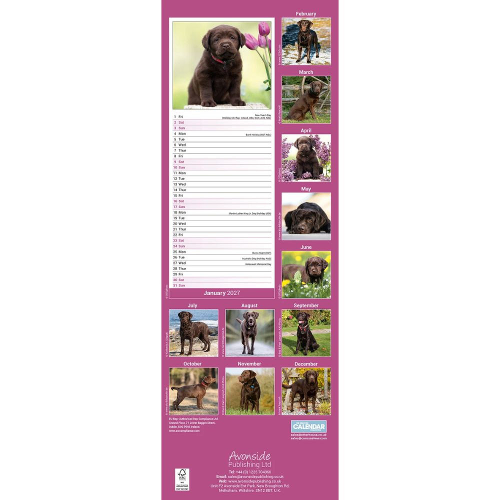 Otter House Labrador Retriever Chocolate Slim Calendar 2027