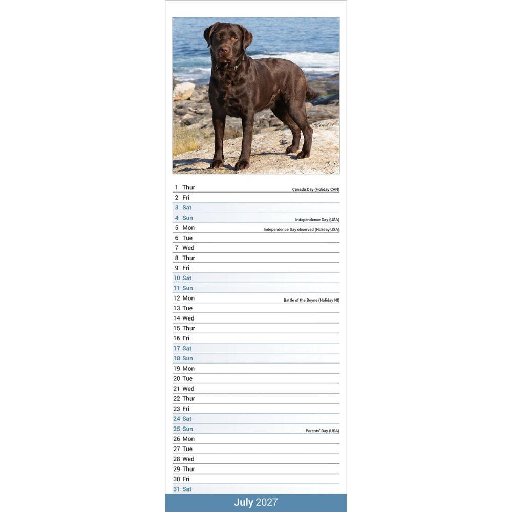 Otter House Labrador Retriever Chocolate Slim Calendar 2027