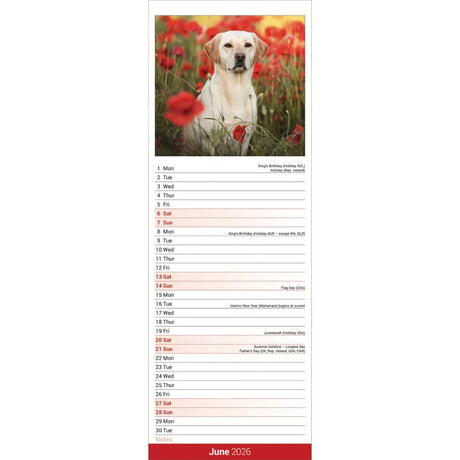 Otter House Labrador Retriever Yellow Slim Calendar 2026