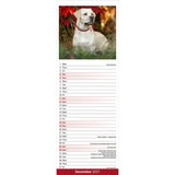 Otter House Labrador Retriever Yellow Slim Calendar 2027