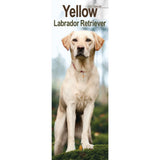 Otter House Labrador Retriever Yellow Slim Calendar 2027