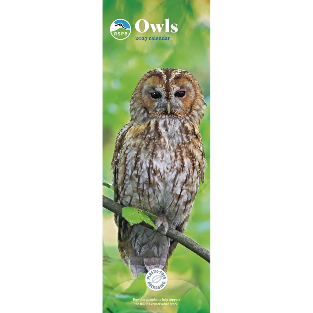 Otter House Owls RSPB Slim Calendar 2027