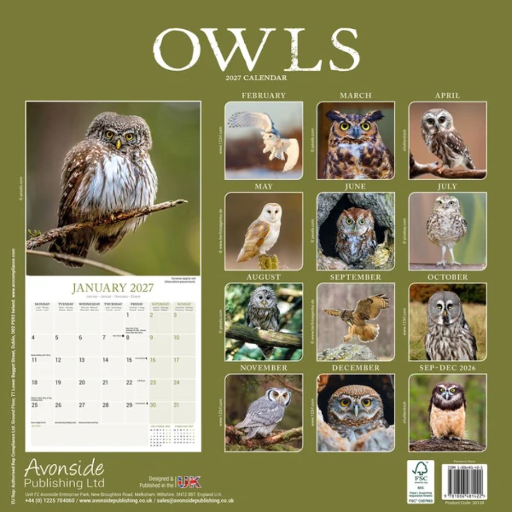 Otter House Owls Wall Calendar 2027